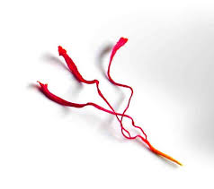 بین المللی خوشه تجارت آراد